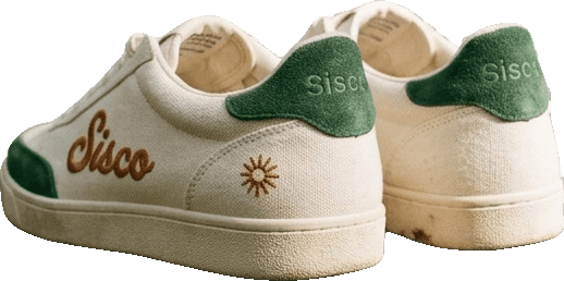 Sisco Nova — Pine
